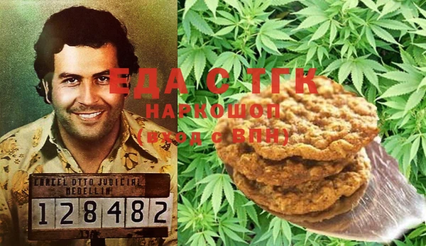 тгк Алзамай