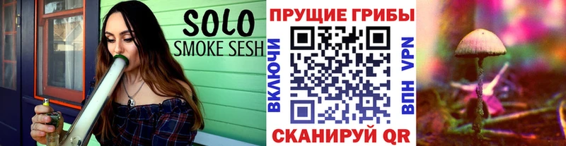 Псилоцибиновые грибы MAGIC MUSHROOMS  OMG как зайти  Котлас 